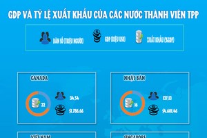 [infoGraphics] So sánh tiềm lực kinh tế 12 quốc gia vừa ký Hiệp định TPP