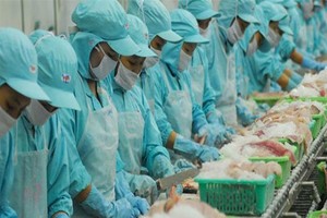 FMC: lợi nhuận ước vượt kế hoạch