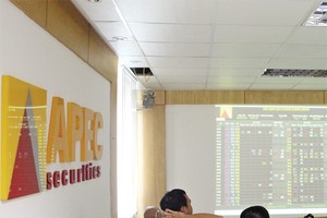 APS đạt kết quả kinh doanh thấp hơn năm 2012