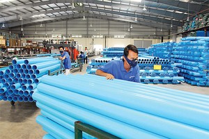 BMP: gặp “hạn” nhưng vẫn khoẻ