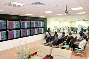 Chuyên gia chứng khoán "cáo" hay "nhím" đều... nói trật!