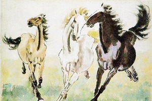 Phong thuỷ lên sàn