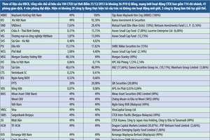 2 năm mở cửa, khối ngoại vẫn “chê” công ty chứng khoán nội