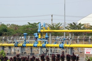 PGD sẽ tăng vốn điều lệ lên 600 tỷ đồng trong năm nay