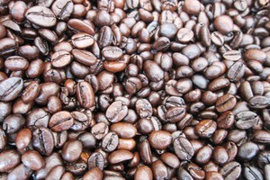 Các DN kinh doanh cà phê trên địa bàn tỉnh Đắk Lắk vừa thoát nguy cơ phá sản