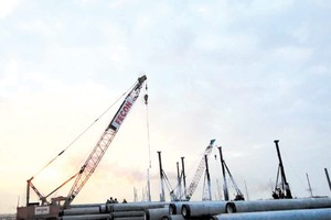 FCN bất ngờ không giảm vốn tại FCM