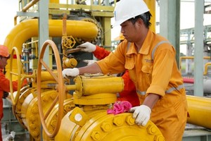 2014, PGD đặt kế hoạch lãi 147 tỷ đồng