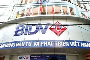 Năm 2014, BID tập trung tìm cổ đông chiến lược