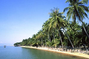 Điện gió LandVille Energy Ninh Thuận đưa vào bị “cảnh báo đỏ”