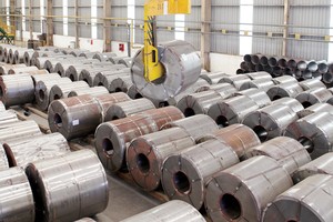 ĐHCĐ lần 1 của TLH không thành