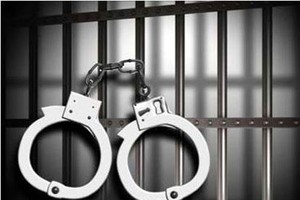 Giám đốc CTCP Phong Phú đi tù vì dự án bánh vẽ