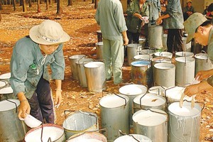 DPR: lợi nhuận sụt giảm mạnh trong tháng 4