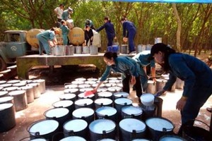 DRC sắp trả cổ tức 20% bằng tiền