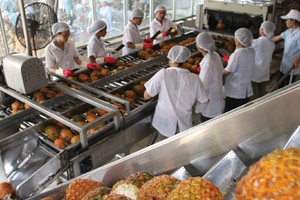 Thủ tướng chỉ đạo giúp doanh nghiệp huy động vốn đầu tư