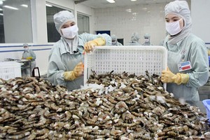 Mỹ tăng thuế chống bán phá giá gấp 3 lần so với phán quyết sơ bộ