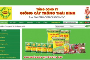 Nhiều doanh nghiệp rao bán cổ phiếu giá gấp 10 lần mệnh giá