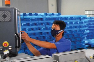 BMP tiếp tục tăng lợi nhuận