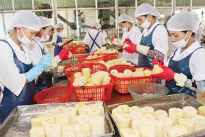 Các DN cần năng động hơn và tăng cường sức đề kháng trước các cú sốc kinh tế