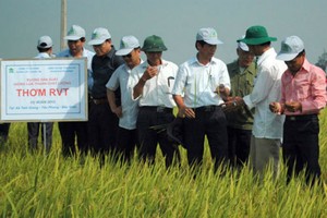 NSC gom cổ phiếu nhiều công ty cùng ngành