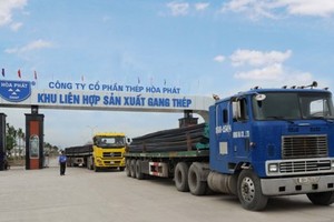 “Hòa Phát mua quặng trong nước tương đương giá nhập”