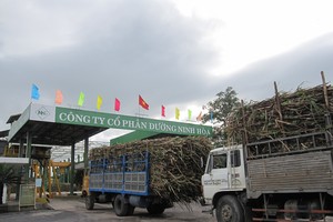 NHS bổ sung 304 tỷ đồng vốn lưu động