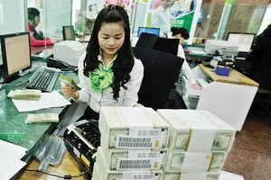 Dự trữ ngoại hối 6 tháng đầu năm tăng thêm trên 10 tỷ USD