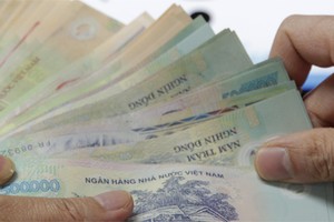 Năm 2013, lực lượng thanh tra phát hiện 117,5 tỷ đồng liên quan đến tham nhũng