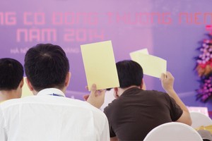 Sửa Luật Doanh nghiệp: Hoàn thiện cơ chế tổ chức công ty cổ phần