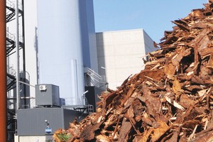 Điện sinh khối vẫn còn nhiều thách thức