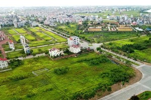 Chủ đầu tư bất động sản và đơn vị phân phối “cộng sinh” trong cảnh giác