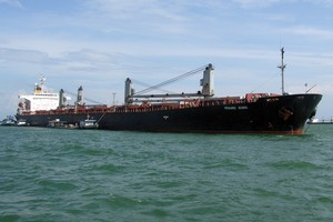 Kinh doanh của Vinalines năm 2014 chủ yếu trông cậy vào khối cảng biển 