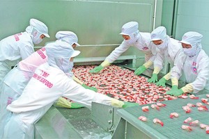 Lợi nhuận trước thuế 6 tháng của MPC ước đạt xấp xỉ kế hoạch cả năm là 487 tỷ đồng