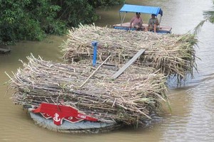 Nhà nước không nắm cổ phần Vinacco sau cổ phần hóa