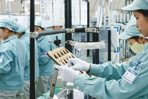 25 DN Việt Nam xúc tiến thương mại tại Pháp và Hà Lan