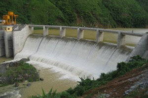 Thủy điện mới trồng lại được 6,3% diện tích rừng trồng bù