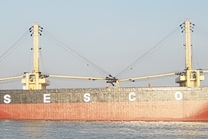 SSG: nợ phải trả chiếm hơn 90% tổng nguồn vốn