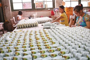 Cần điều chỉnh các quy định về cho vay đối với DNVVN