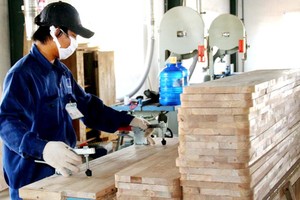 Đã đến lúc ban hành luật riêng về doanh nghiệp vừa và nhỏ