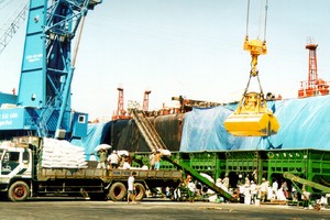 KSD rót tiền đầu tư vào chăn nuôi