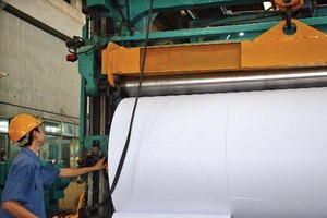 Các dự án bột giấy mới, nếu được đưa vào xây dựng và vận hành, sẽ góp phần rất lớp giúp ngành giấy Việt Nam chủ động nguồn bột giấy, hiện phần lớn phải nhập khẩu