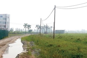 Một phần lớn diện tích tại Dự án Thanh Hà đã được chủ đầu tư san mặt bằng - Ảnh: Nguyên Minh
