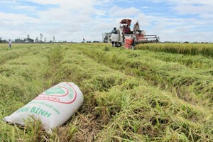 VinaCapital thoái vốn tại AGPPS với giá 85.000 đồng/CP