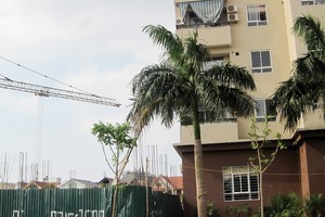 Hai khối nhà N04B1 và N04B2 nằm sát nhau - Ảnh: Trọng Tuyến