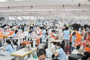 9 tháng đầu năm, GMC đã gần cán đích kế hoạch lợi nhuận cả năm 67 tỷ đồng 