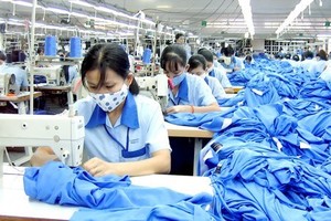 HDM hoàn thành 91% kế hoạch lợi nhuận