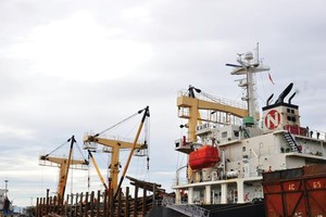 Thông tin về các đợt IPO của nhiều doanh nghiệp không đầy đủ và thiếu sức hấp dẫn