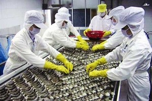 Xuất khẩu tôm tăng trưởng mạnh