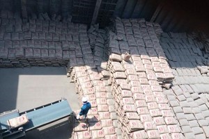 So với năm 2013, xuất khẩu xi măng năm nay có nhiều thuận lợi