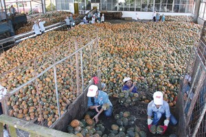 Năng suất lao động của Việt Nam năm 2013 quy đổi chỉ đạt 5.440 USD/lao động