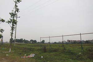 Những lô đất có diện tích nhỏ, từ 35 - 50 m2, giá khoảng 1 tỷ đồng được nhiều khách hàng quan tâm - Ảnh: Trọng Tuyến